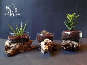 Terrário Aquário Decorativo Moderno Ecológico de Fibra de Vidro Fundido com Efeito de Madeira Flutuante, em Formato de Garrafa Semiaberta, para Plantas, Suprimentos para Atacado - Product Image 6