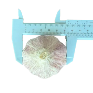 Nuevo cultivo chino, buen agricultor, <span class=keywords><strong>ajo</strong></span> Natural, estándar europeo, comida saludable, vegetales frescos, <span class=keywords><strong>Ajo</strong></span> Alho, sin blanqueamiento - Product Image 5