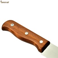 Couteau à désoperculer le miel BEESTAR, outil pour ruche, couteau à gratter le miel pour l'apiculture