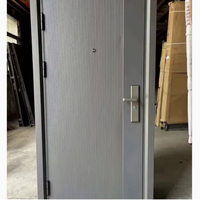 Porte d'entrée en acier insonorisée et économe en énergie, porte d'entrée moderne de luxe pour personnalisation technique, entrée d'appartement moderne