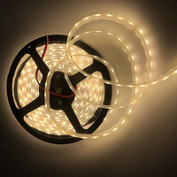 Bandes lumineuses LED 12V 24V 10W 3000K en silicone imperméable IP68 IP67 pour escaliers et bâtiments