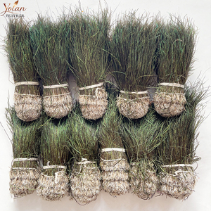 Plumes de paon naturelles en gros de 6 à 8 pouces, enfilées, pour nymphes Prince, attracteurs Steelhead, mouches Buggers et mouches traditionnelles. - Product Image 1