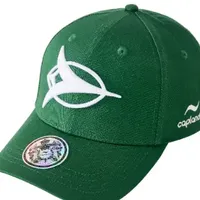 Casquette de baseball brodée 3D personnalisée, verte, à fermeture snapback, 6 panneaux, en sergé de coton, unisexe, toutes saisons, 58-60 cm, pour les fans de l'équipe
