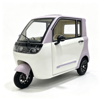 Tricycle Électrique à Trois Roues Neuf, Véhicule Énergétique, Tricycle Électrique Fermé pour Passagers, Prix de Gros