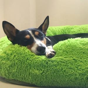 Almohada antideslizante de piel sintética extraíble para gatos y perros, cama redonda lavable para mascotas, fabricante de rosquilla - Product Image 5