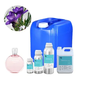 Bluebell mawar Hypnose Blackberry Bay minyak wangi jumlah besar parfum kualitas tinggi untuk pembuatan parfum dengan sampel gratis