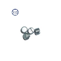 Controlador de Temperatura Eléctrico con Tornillo Ranurado Sin Cabeza M3-0.35P * 6L, con Prueba GO/NOGO