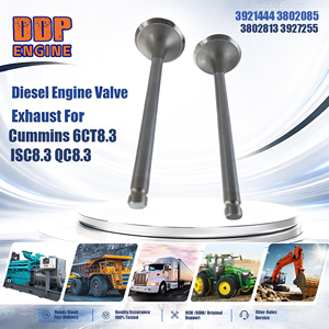 Válvula de escape del motor diésel para maquinaria de construcción 3921444 3802085 3802813 3927255 para Cummins 6CT8.3 ISC8.3 QC8.3 - Product Image 2