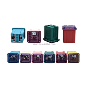 Kit d'assortiment de fusibles micro-cartouche 30 ampères, profil bas, boîte Jcase, fusibles automobiles SBFC-LPJ 58V pour camionnettes, voitures, VUS - Product Image 1