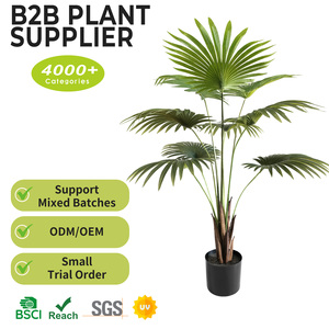 Vente directe usine : Palmiers <span class=keywords><strong>en</strong></span> plastique style moderne d'été, plantes <span class=keywords><strong>en</strong></span> <span class=keywords><strong>pot</strong></span> pour la décoration intérieure, arbres artificiels miniatures de 100 cm - Product Image 2