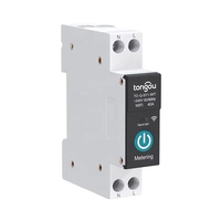 Interrupteur de disjoncteur intelligent Wi-Fi de mesure d'énergie 1P 63A, mini, pour rail DIN, pour maison intelligente, avec télécommande sans fil, Tren