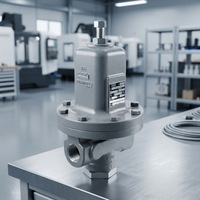 Régulateurs de pression Emerson Fisher série MR95, très demandés, 1/4 NPT 1/2-pouce / DN 15 MR95L/MR95H/MR95HP/MR95HT/MR95LD