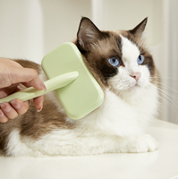 Nouvelle Brosse à Poils de Chat Spécial Beauté pour Animaux de Compagnie