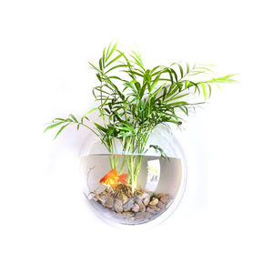 Réservoir à poissons rond en acrylique transparent pour <span class=keywords><strong>aquarium</strong></span>, pot de fleur, bol à poisson mural en plastique, réservoir d'<span class=keywords><strong>aquarium</strong></span>, rond, suspendu, créatif - Product Image 2