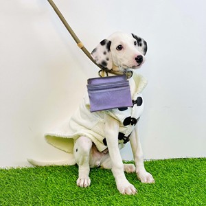 Free sample Custom Logo Pet Treat Pouch Reward Bag <b>Food</b> <b>Container</b> Feed <b>Dogs</b> Poop Bag Holder For Training Walking Clip On Leash - Product Image 5