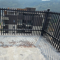 Grille décorative extérieure en alliage d'aluminium anti-effraction sur mesure pour fenêtre, balustrades et rampes de style chinois ancien