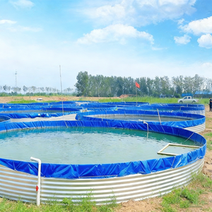 Bassin à poissons portable et économique en acier galvanisé, bâche HDPE et PVC, pour l'extérieur, idéal pour l'élevage aquacole, à vendre - Product Image 2