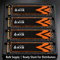 Logo Kustom KANAGA M.2 NVMe SSD 1TB 2TB PCIe 4.0 Layanan OEMODM Tersedia untuk Distributor