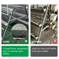 Nouvelles cages à poulets de ferme Linchuan de type A, conception à étages, en acier galvanisé à chaud, capacité de 96 à 160 poulets, garantie 5 ans