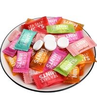 Sea Salt Sugar-Free Ice Cool Mint Candy Factory Wholesale of Candies and Snacks Candy