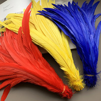 Plumes de coq en gros, plumes de Gallo, teinture personnalisée, plumes de queue de coq pour le Mardi Gras, plumes de fête, décoration, artisanat, bricolage