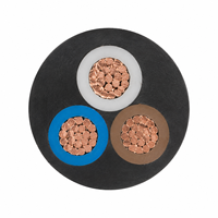 Cable de Alimentación de 3 Núcleos de Cobre con Aislamiento XLPE y Revestimiento de PVC 0.6/1kV
