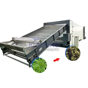 Hot sale hemp flower drying machine mariguan drier mesh belt dryer equipment