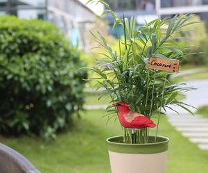 Garden Basix Humidimètre du sol Alarme <span class=keywords><strong>d</strong></span>'arrosage Gazouillement <span class=keywords><strong>Testeur</strong></span> <span class=keywords><strong>d</strong></span>'eau pour plantes Hygromètre Capteur Kit <span class=keywords><strong>d</strong></span>'outils <span class=keywords><strong>de</strong></span> jardinage pour plantes - Product Image 4