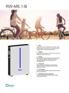 Batteria per Accumulo Energetico RW-M6.1 con 10 Anni di Garanzia, 51.V 120AH, Protezione IP65, Montaggio a Parete/Pavimento, Batteria agli Ioni di Litio Lifepo4 - Product Image 6