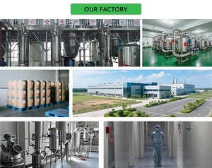 100% Tinh Khiết Hữu Cơ Ngay Lập Tức Yerba Chiết Xuất Trà Bột Thực vật Dựa Ngay Lập Tức Truyền - Product Image 6