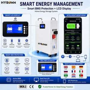 Hysonn 10KWh 15KWh 16KWh Lithium Battery 51.2V Wall-Mounted | Home Solar <b>Energy</b> <b>Storage</b> <b>System</b> IP55 BMS 10-Year Warranty - Product Image 2