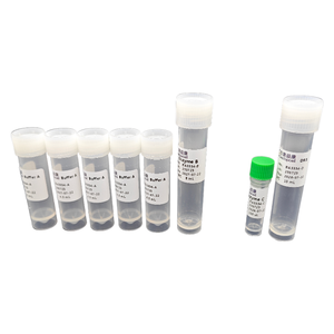 Kit de Disociación de Médula Espinal Baiaoyikang - Preparación de Células Individuales de Alta Viabilidad (10T) - Product Image 5