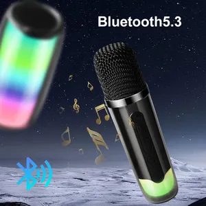 Cadeau de promotion chaude haut-parleur BT avec micro sans fil avec 1-2 microphones sans fil maison famille chantant cadeaux pour enfants