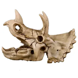 Triceratops resina para calavera SKD06 decoración de escritorio de animales de moda para oficina o Artesanías de resina de Halloween - Product Image 3
