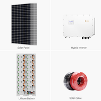 Système de stockage d'énergie solaire hybride commercial Solis 75 kW 80 kW 100 kW 125 kW avec batterie de 200 kWh