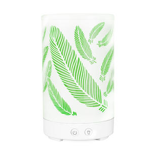 Creative <b>Feather</b> Pattern Aroma Diffuser 0.5L Usb Powered Night Light For Home Office Desktop Gift - Product Image 1