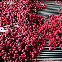 FOB Volle Container Export Fruit, Zonder Additieven Catering Groothandel Diepvries Besjes Diepvries Goede Kwaliteit Hot Sale Prijs