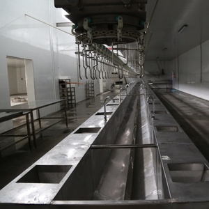 Sistema de Matadero Automático para Aves de Corral, Línea de Deshuesado de Pollos, Patos, Gansos y Aves de Engorde, Equipo de Sacrificio y Procesamiento - Product Image 1