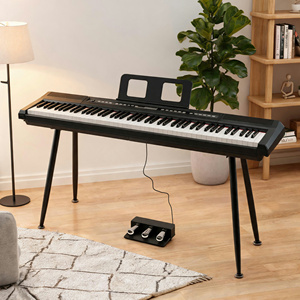Piano Digital Personalizado de Fábrica BD-806, 88 Teclas con Acción de Martillo Contrapesado, Teclado Electrónico de Plástico, Instrumentos Musicales - Product Image 1