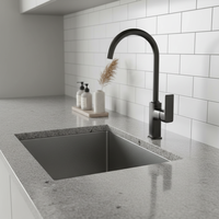 Robinet de cuisine noir mitigeur eau chaude et froide en laiton