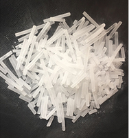 Pépite icemaker/sec distributeur automatique de glace/azote sec glace faisant la machine