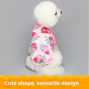 2025 Cute Cartoon Printed Velvet Clothing Warm Small Dog and Cat Clothes and Supplies for Pets - Product Image 5