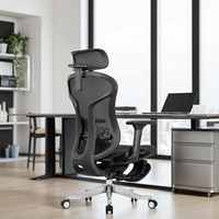 Chaise de bureau de direction ergonomique moderne à dossier ouvert, confortable, pivotante, en maille, réglable, avec soutien lombaire auto-ajustable