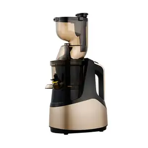 Big Mouth Feeder Slow Juicer With Stainless Steel Filter Combined Filter Ice Cream Filter to Extract Fruits and Vegetables