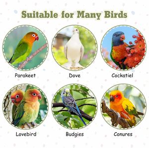 PARAKEET làm tổ hộp gỗ: Nhà giống vẹt, chim chuồng Phụ kiện cho budgie lồng, cockatiel, Finch, lovebirds, Conure - Product Image 6