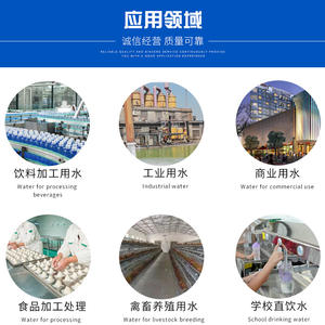 Equipo de Tratamiento de Agua Pura por Ósmosis Inversa Industrial de Control Inteligente de 2 Toneladas Jin Chengrong, Garantía de Más de 5 Años, Acero Inoxidable - Product Image 2