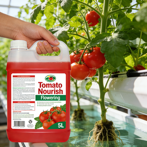 <span class=keywords><strong>Engrais</strong></span> Booster de <span class=keywords><strong>Floraison</strong></span> pour Tomates à Haute Efficacité - Favorise la <span class=keywords><strong>Floraison</strong></span> Précoce et Prévient l'Abscission des Fleurs - Product Image 4