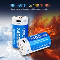 Fournisseur OEM Professionnel – Batteries Li-Ion Rechargeables USB Taille D 1,5 V 7400 mWh, Durée de Vie 1000 Cycles pour Lampes de Poche et Jouets Électriques