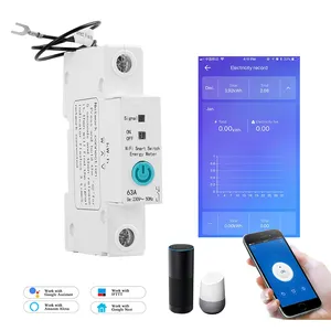 Best Price 1P 63A Din Rail WIFI Circuit Breaker Smart Timer Switch Relay Remote Control EWeLink Smart Home Support Alexa Google