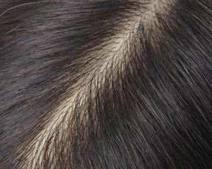 Tête de Mannequin Avec Cheveux Humains 100% Tête De <span class=keywords><strong>Coiffure</strong></span> Pour Coiffures Tête De <span class=keywords><strong>Coiffure</strong></span> Professionnelle Avec Poupée De Cheveux Naturels - Product Image 5